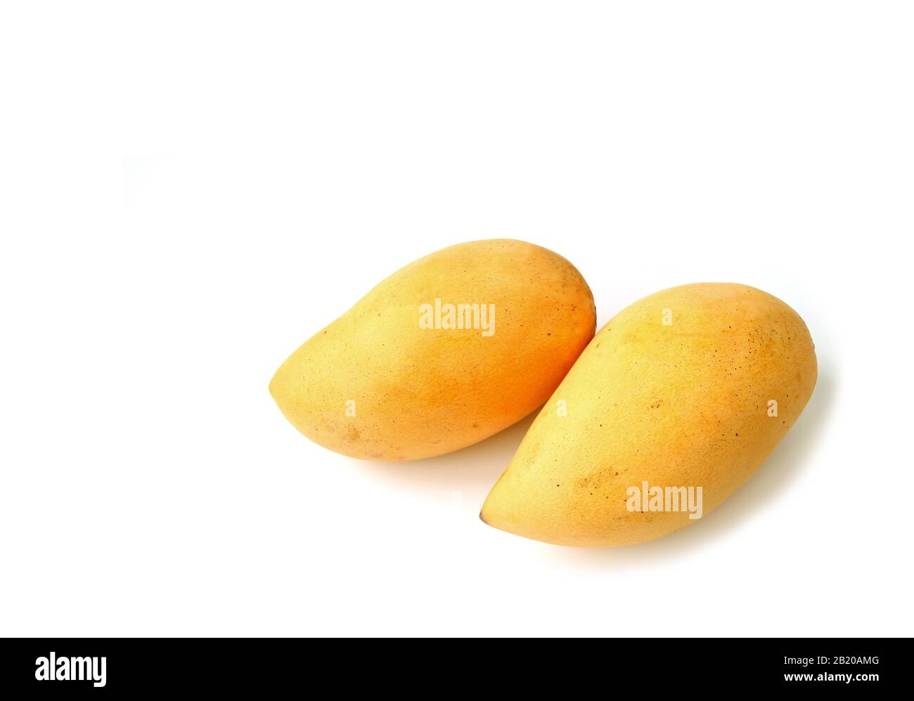 Pair of Fresh Ripe Mango Whole Fruits Isolated on White Background