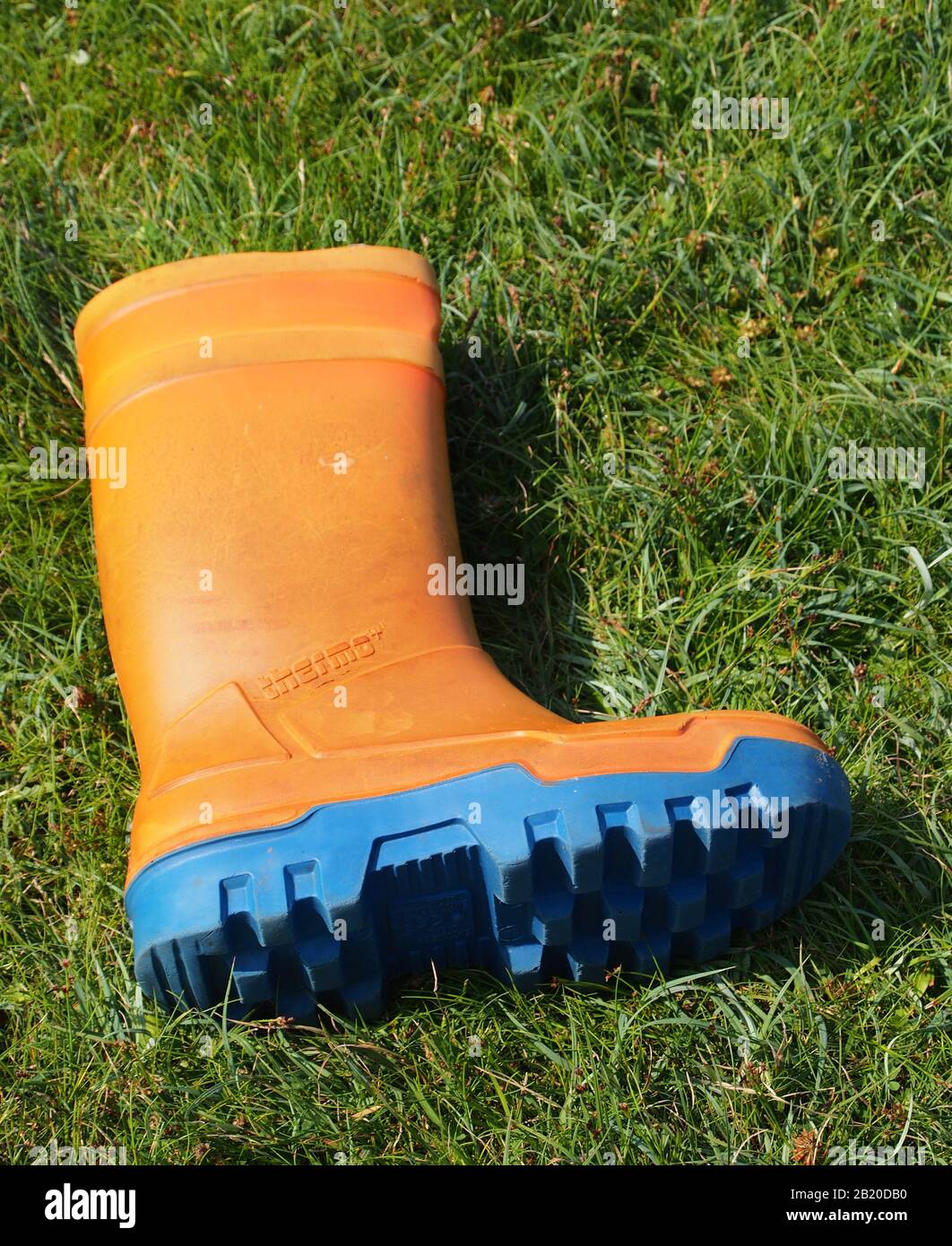 A close up of a fisherman's orange wellington boot with a blue tread laying discarded on grass Stock Photo