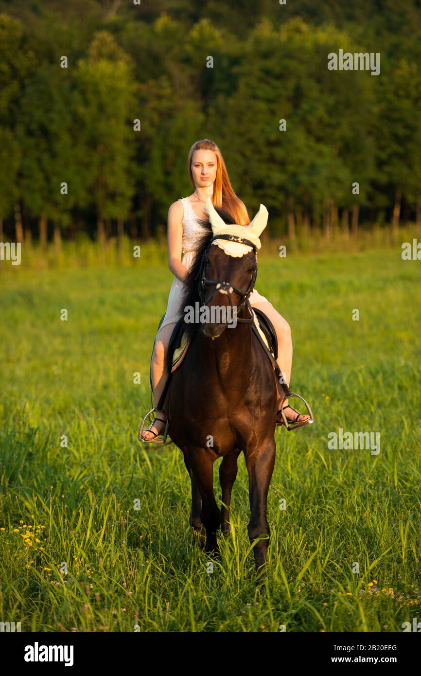 Active young woman ride a horse in nature Stock Photo - Alamy