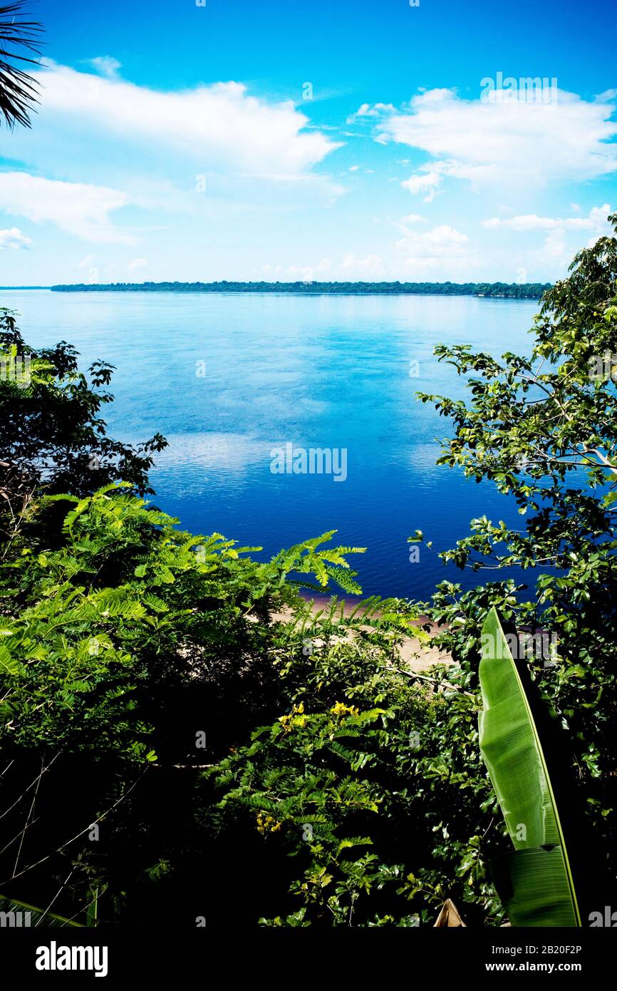 Novo Airão Amazonas fonte: c8.alamy.com