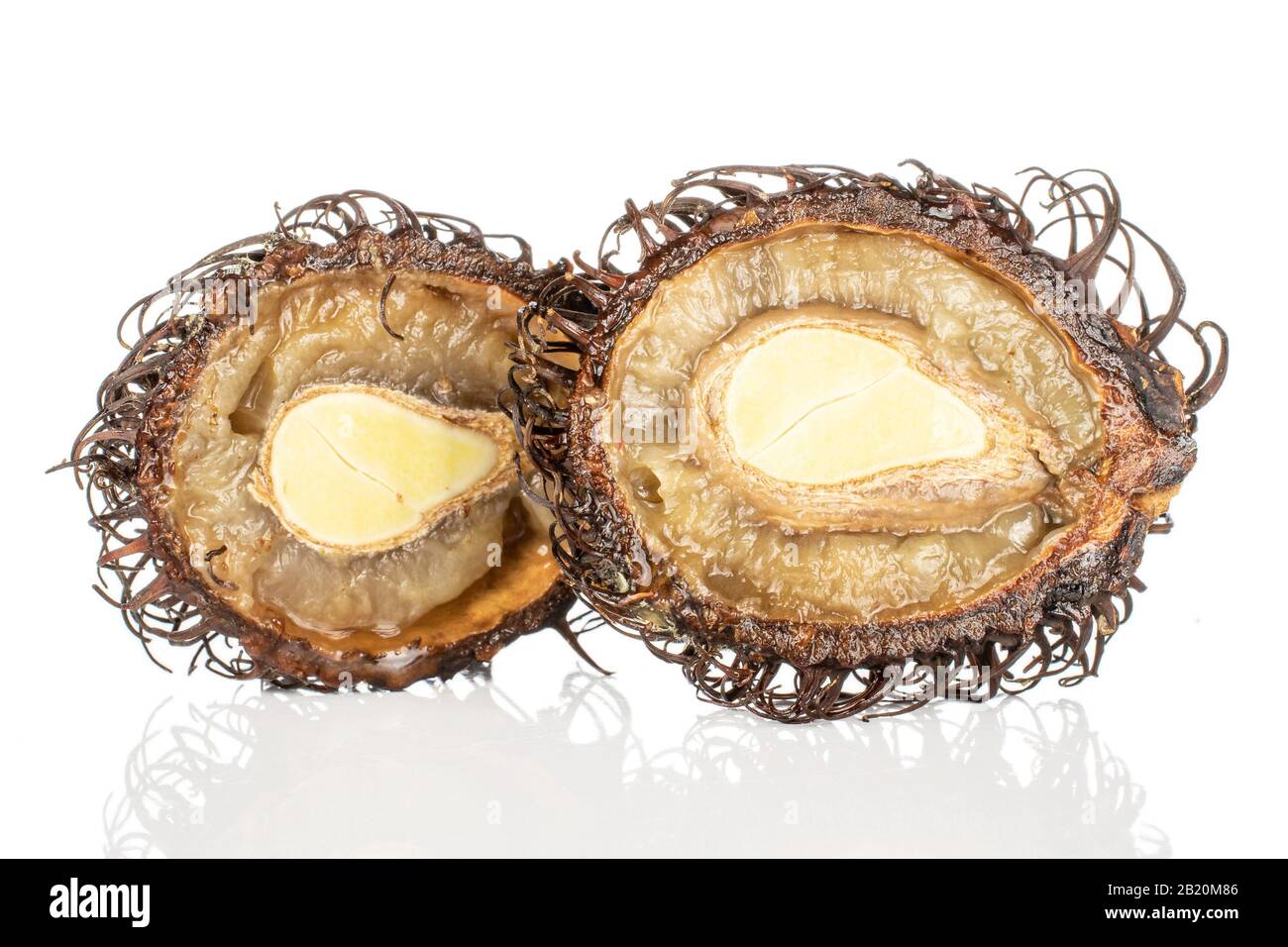 Group of two halves of old brown rambutan isolated on white background ...