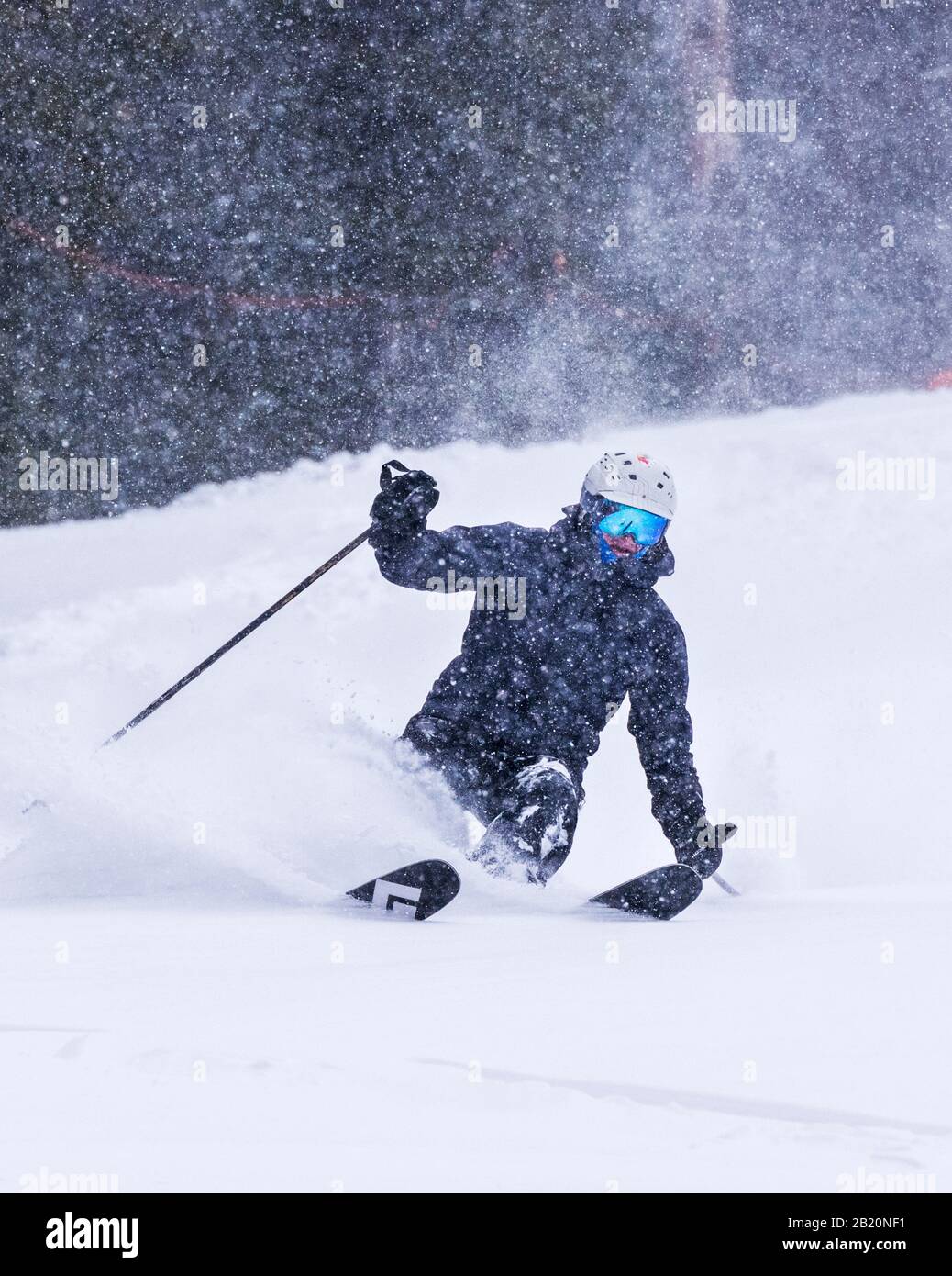 Skier in fresh powder at Monarch Mountain ski & snowboard resort on the Continental Divide in