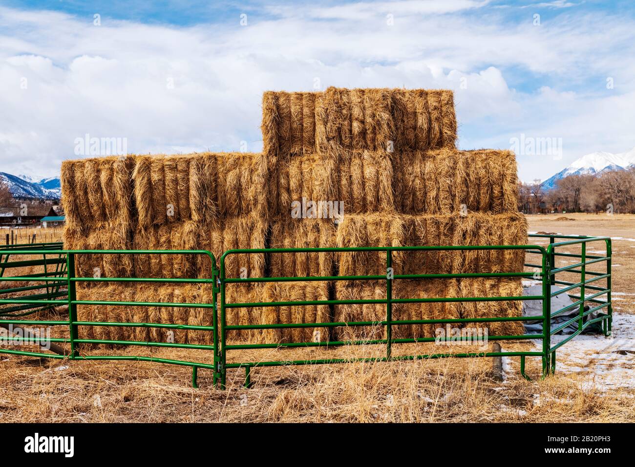 Hay bales stacked for winter use; Vandaveer Ranch; near Salida; Colorado; USA Stock Photo