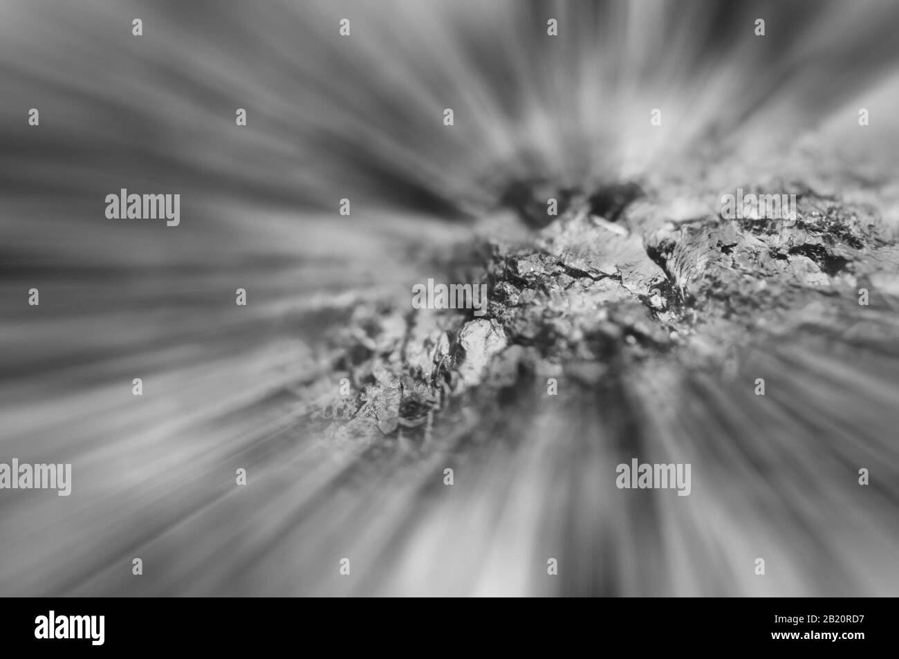 Black and white photography. Beautiful black and white background of crystals and abstract rays. Macro. Stock Photo