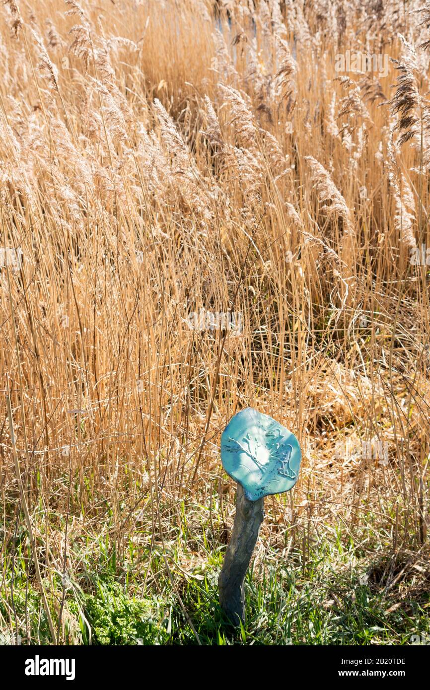 Grasses growing alongside a way marker in Station Burn Nature reserve, Boldon Colliery, Tyne and Wear, England, UK Stock Photo