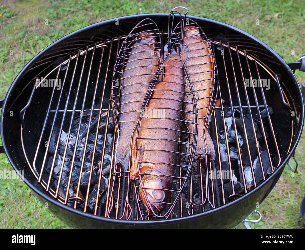 geräucherte Forellen vom Grill Stock Photo