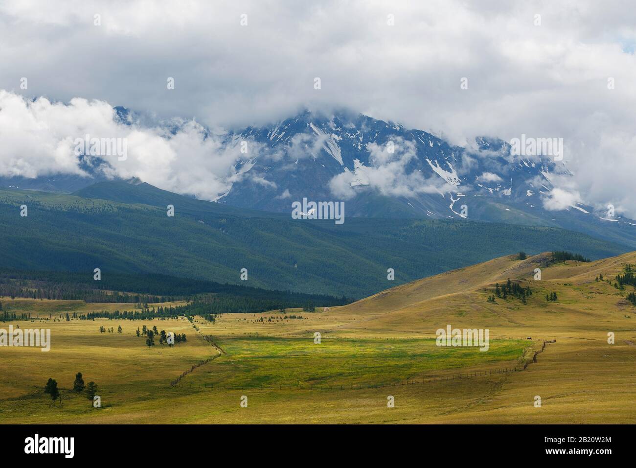 Scenic view of the snow-covered North-Chuya range in the Altai mountains in the summer, Siberia, Russia. Stock Photo