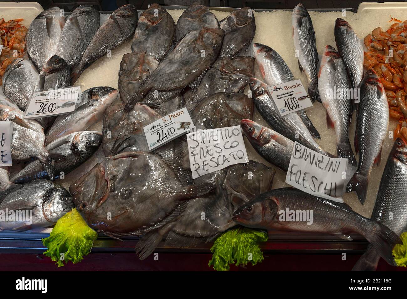 Fresh Peter fish (Zeus faber), left and right Temperate basses (Moronidae) on ice, fish market, Venice, Veneto, Italy Stock Photo