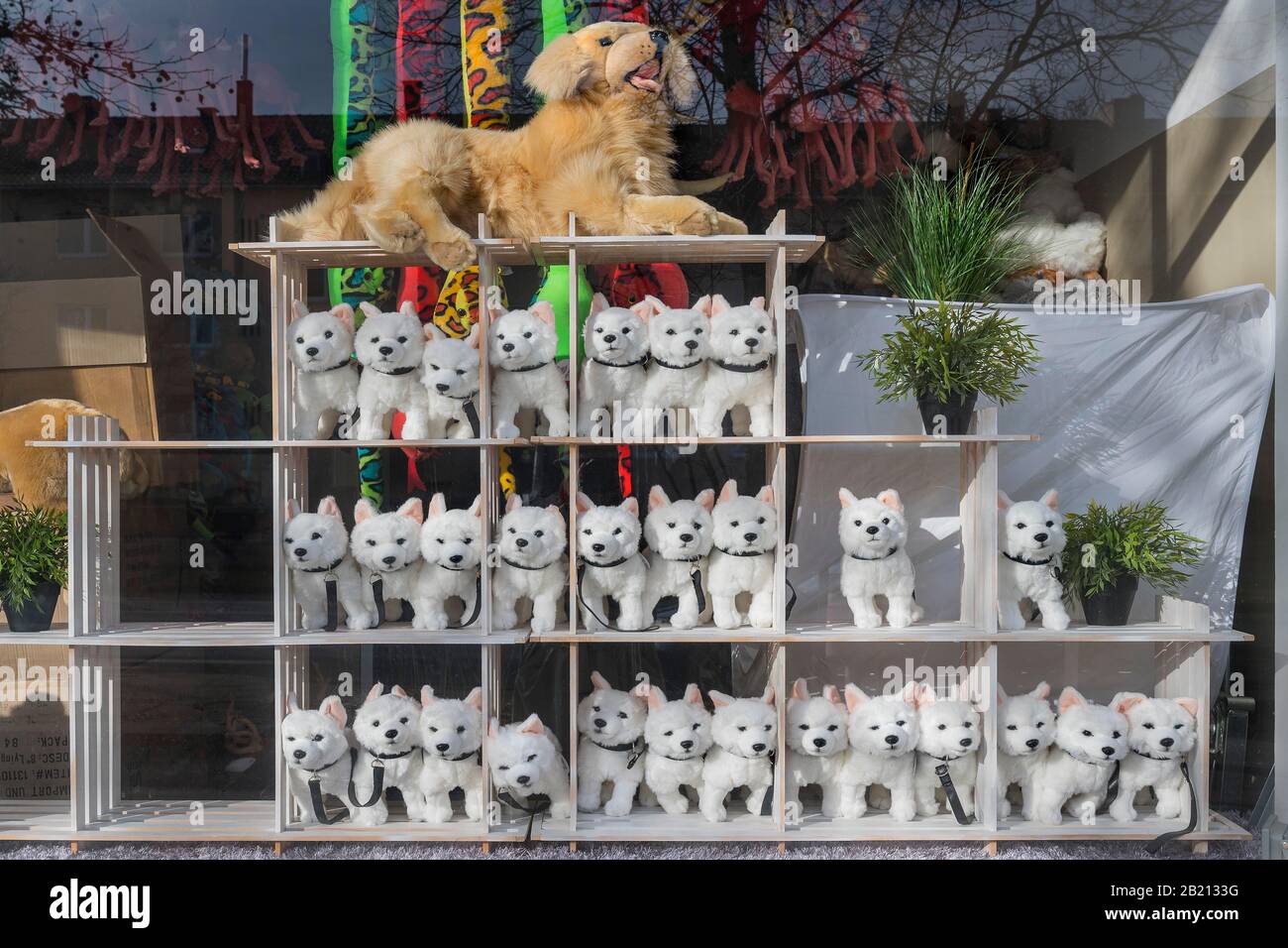 Shop window with toy dogs, dog salon, Harlaching, Munich, Upper Bavaria, Bavaria, Germany Stock Photo