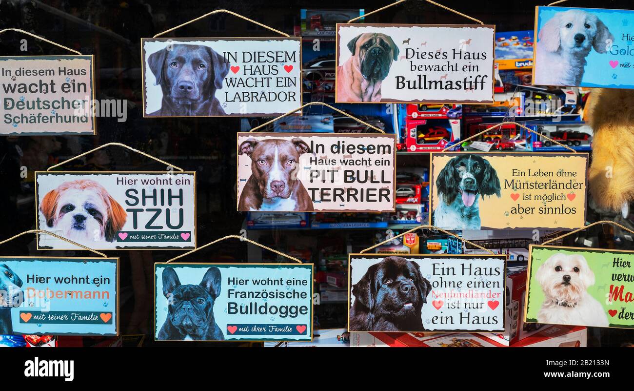Shop window with dog signs, dog salon, Harlaching, Munich, Upper Bavaria, Bavaria, Germany Stock Photo