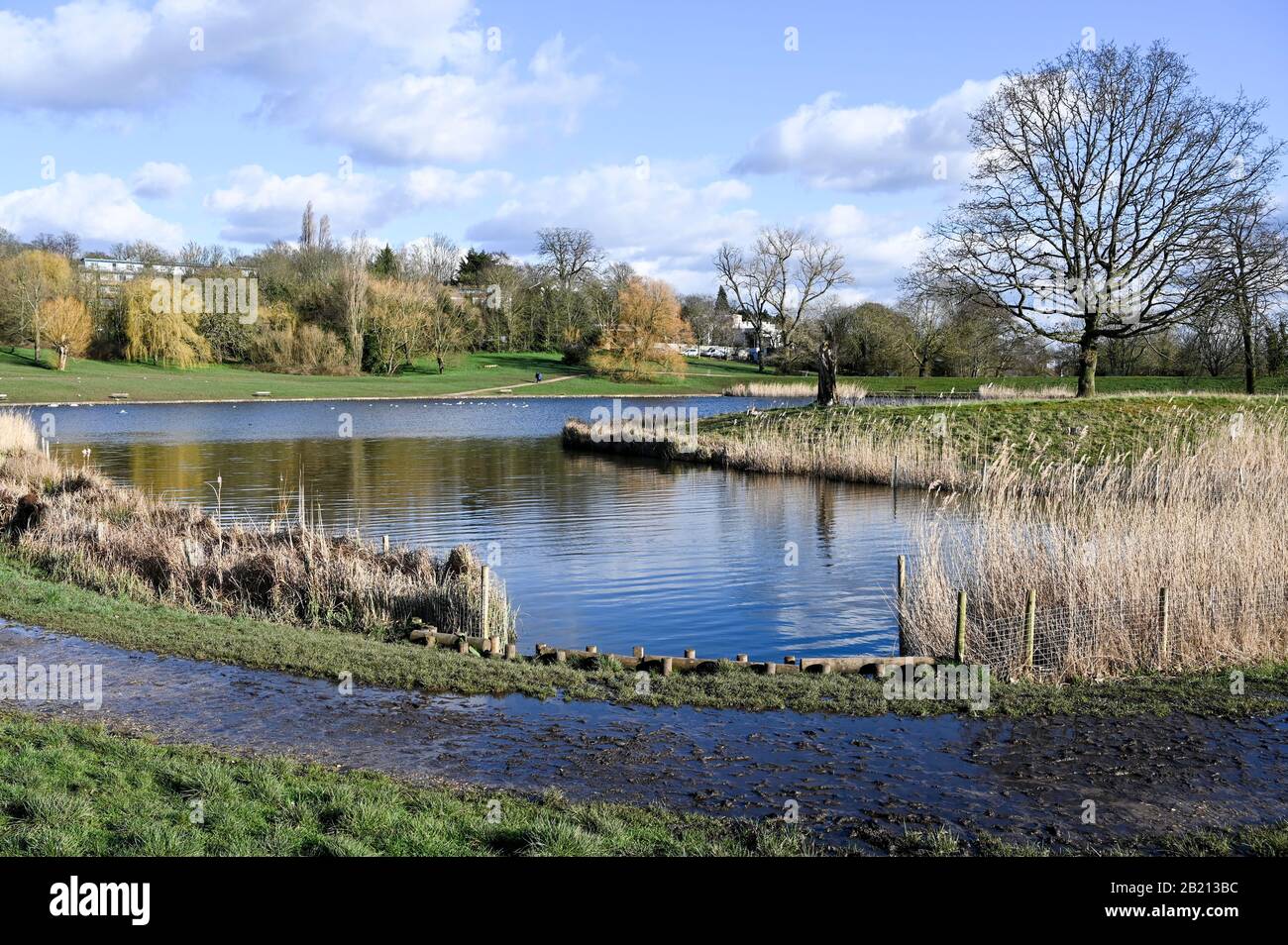 A sunny day in early spring by the Model Boating Pond, Hampstead Heath, London, UK. Stock Photo