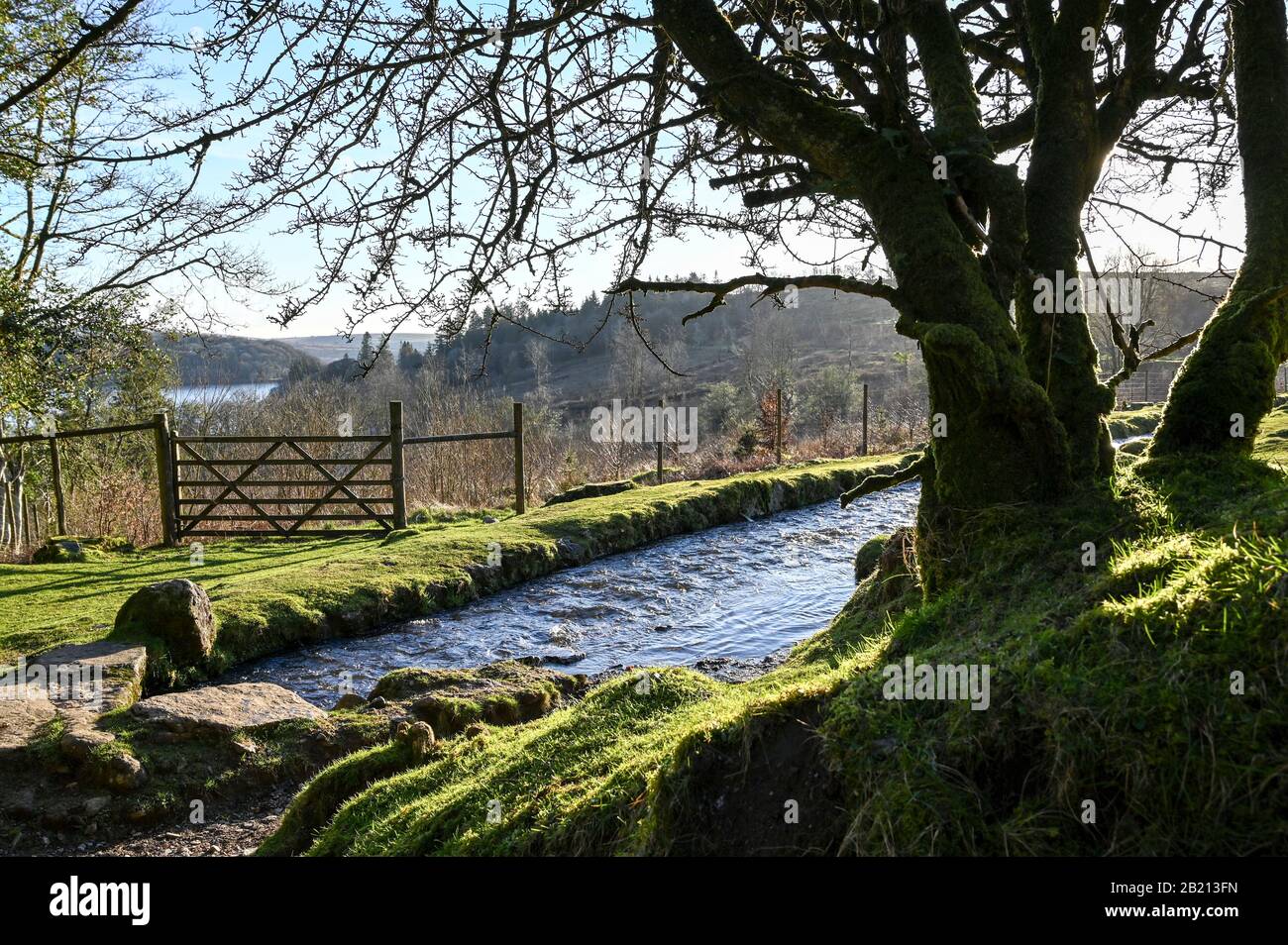 Devonport Leat taking freshwater from Dartmoor to Plymouth. Stock Photo