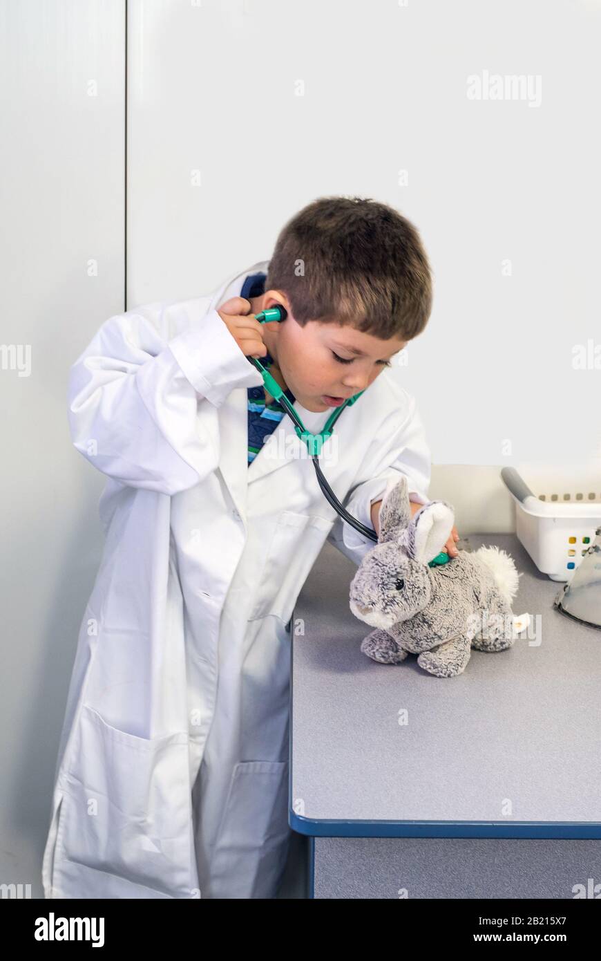 Rabbit toy veterinarian hires stock photography and images Alamy