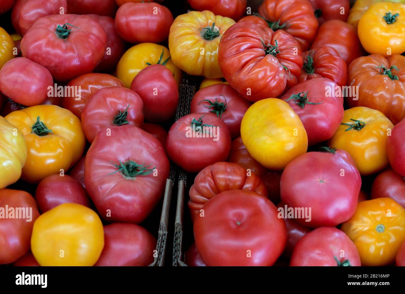 Pile of fresh Heirloom tomatoes for sale at a farmers market in ...