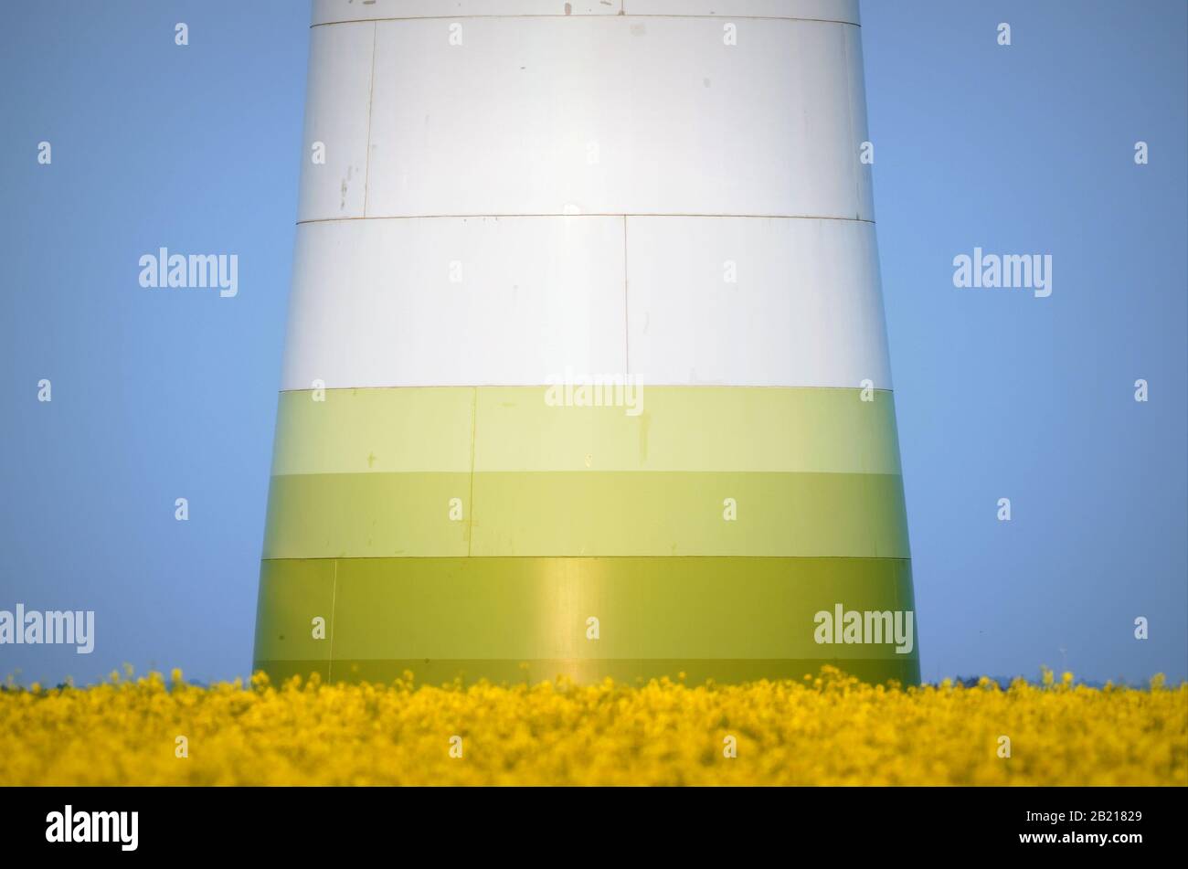 base of a wind power plant on a canola field against blue sky Stock Photo