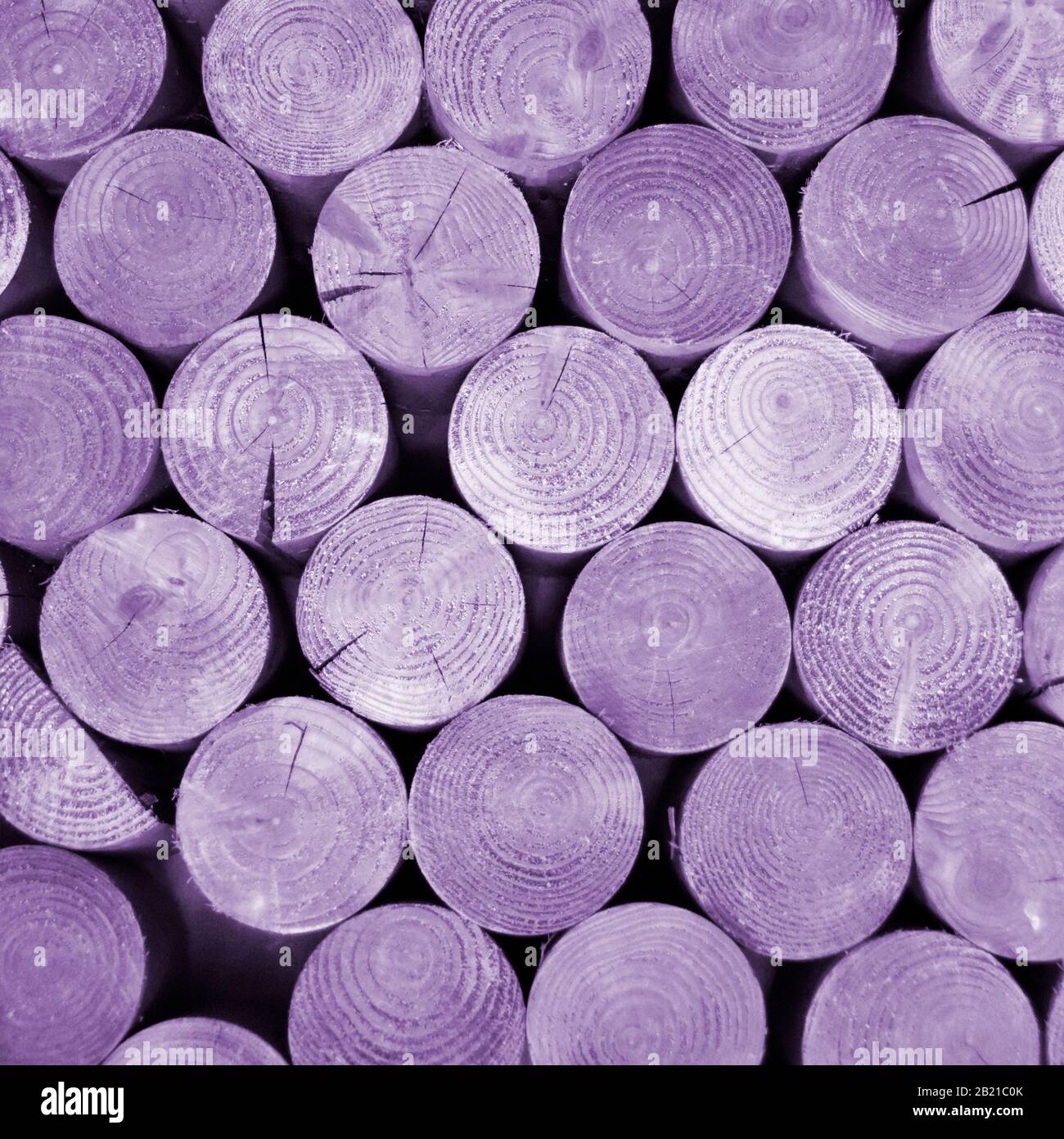 Manipulated colour applied to ends of stacked sawn tree timber logs to create abstract background pattern image of round shapes and circles England UK Stock Photo
