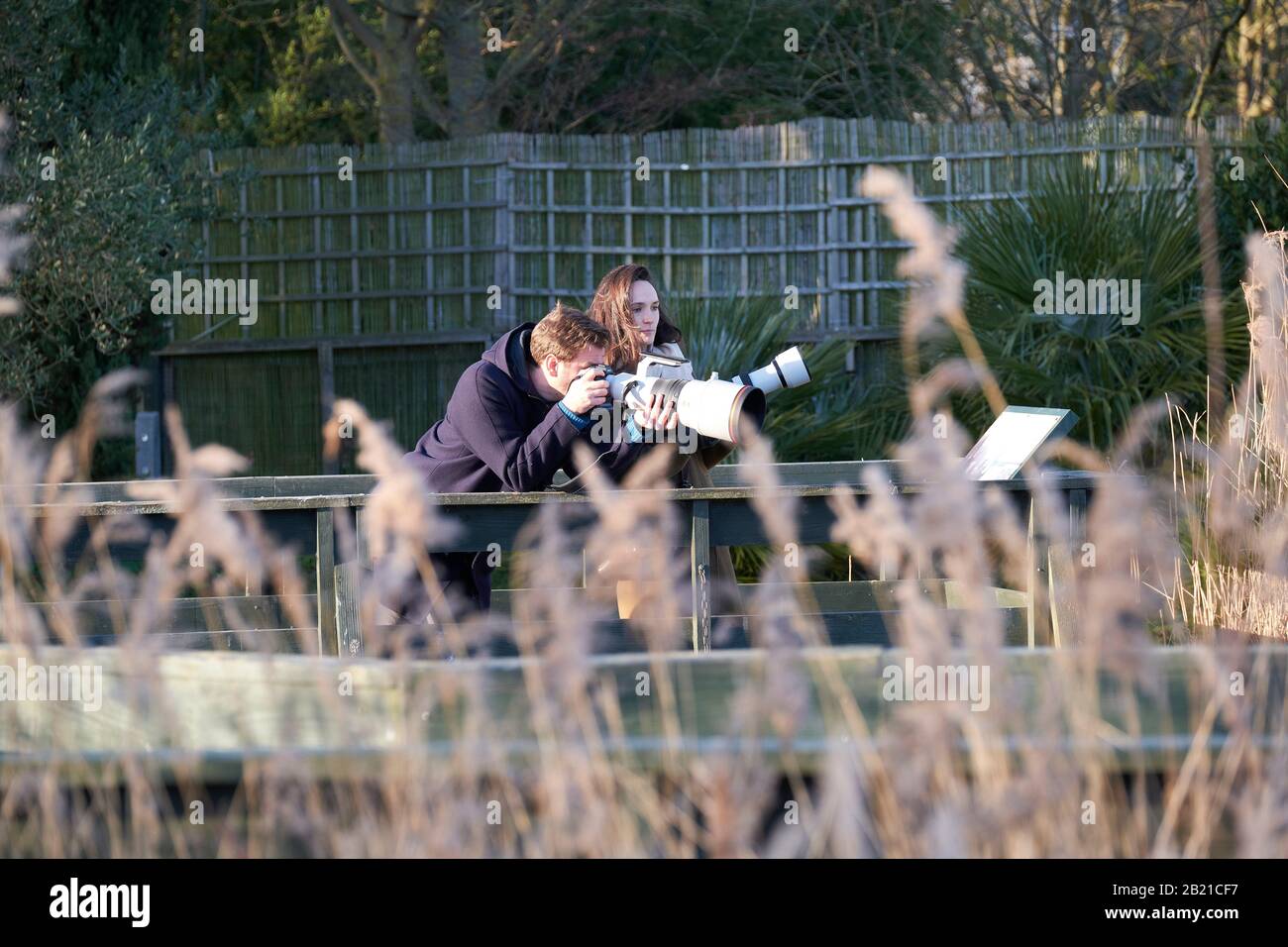 Wildlife photographer london hi-res stock photography and images - Alamy