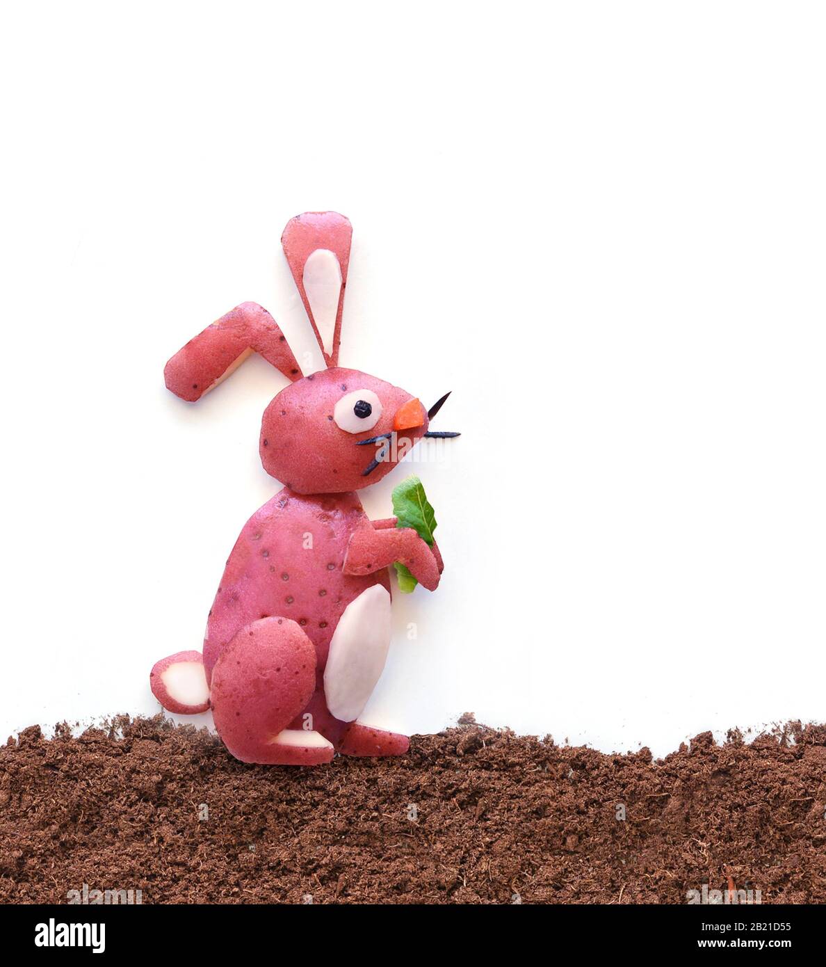 Bunny rabbit food art concept Stock Photo