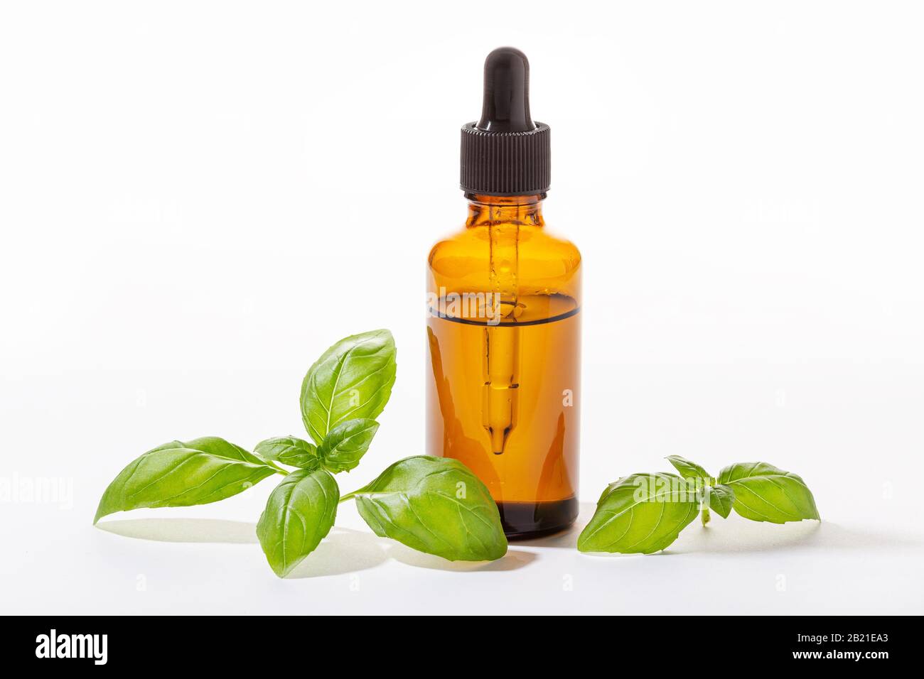 Basil essential oil isolated on white background. Basil oil for skin care, aromatherapy and natural medicine Stock Photo