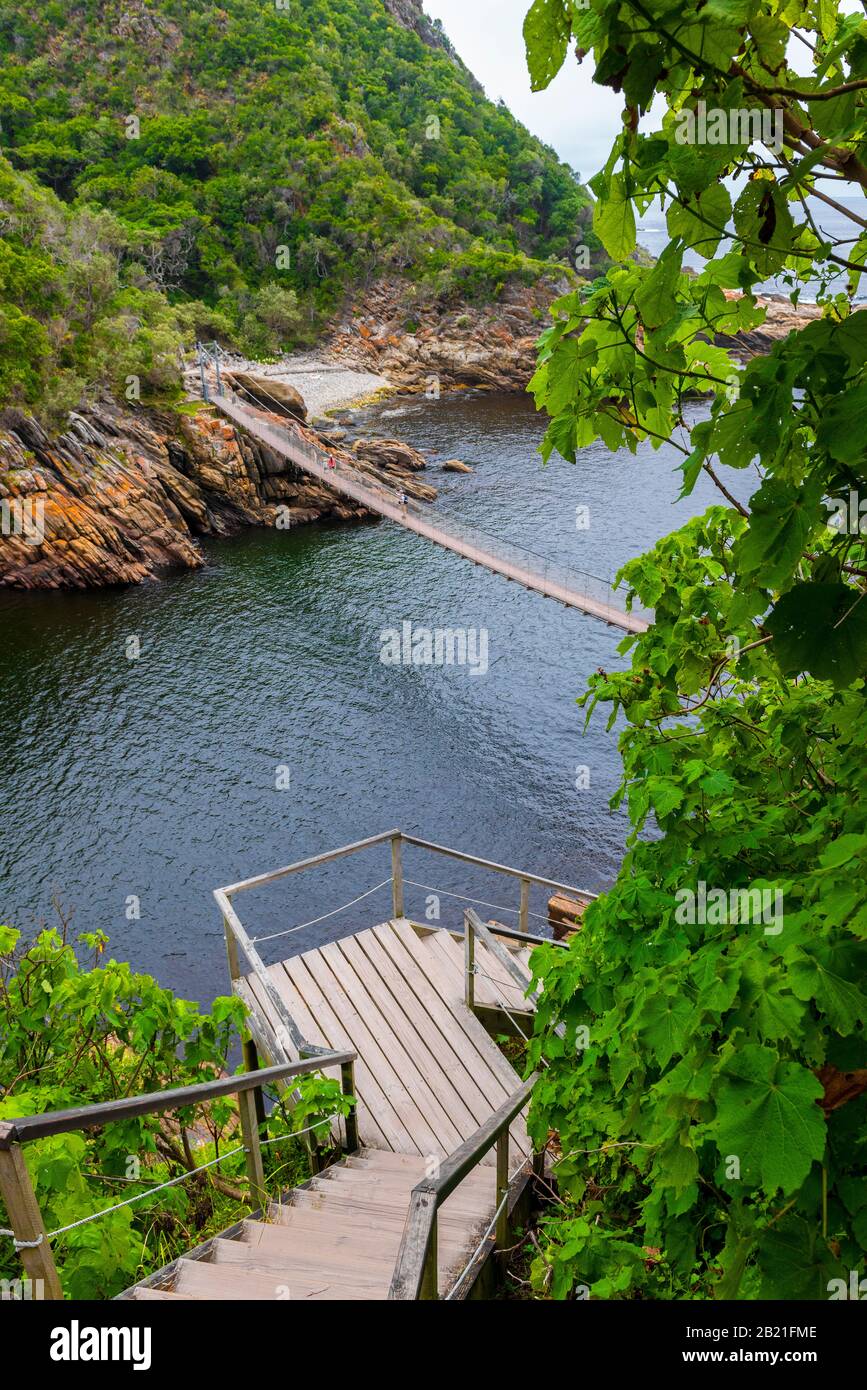 Suspension bridge at Storms River Mouth,Tsitsikamma National Park, Garden Route, near Port Elizabeth,South Africa Stock Photo