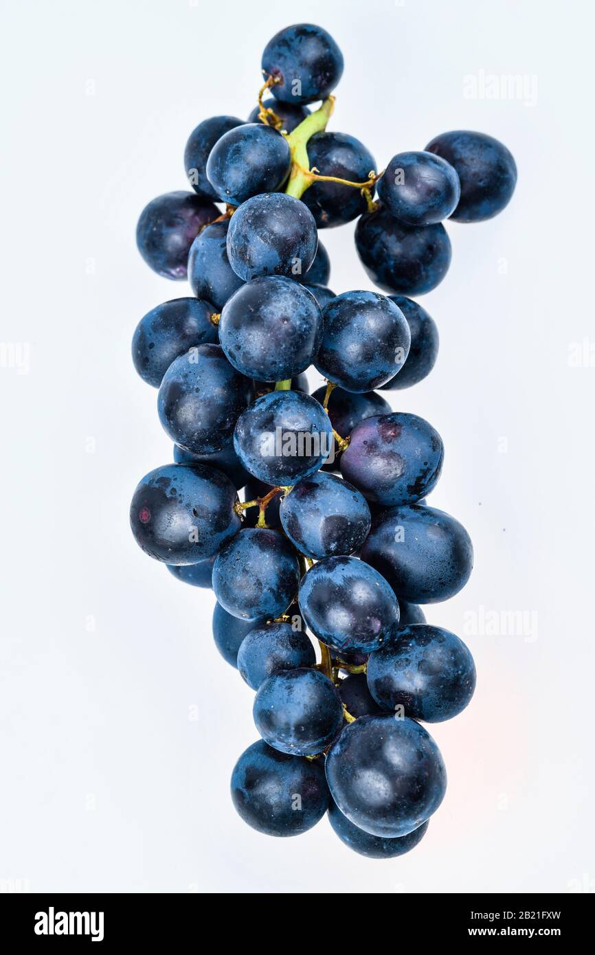 Rote Weintrauben, Studioaufnahme Stock Photo