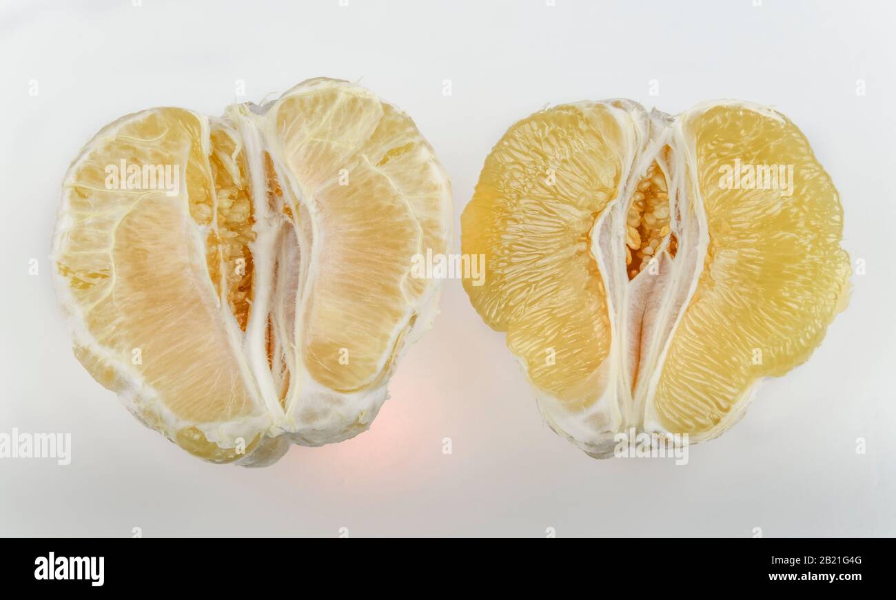 Geschälte Pomelo, Fruchtfleisch, Studioaufnahme Stock Photo Alamy