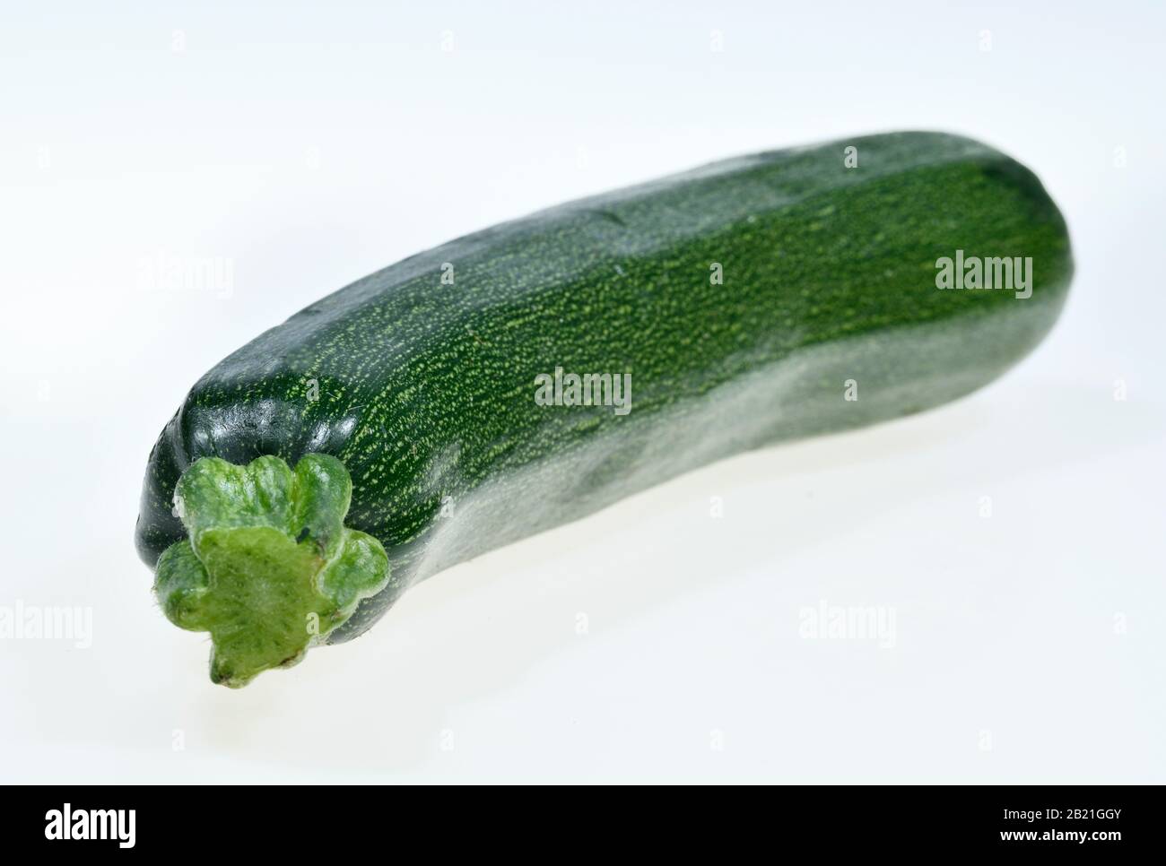Zucchini, Studioaufnahme Stock Photo