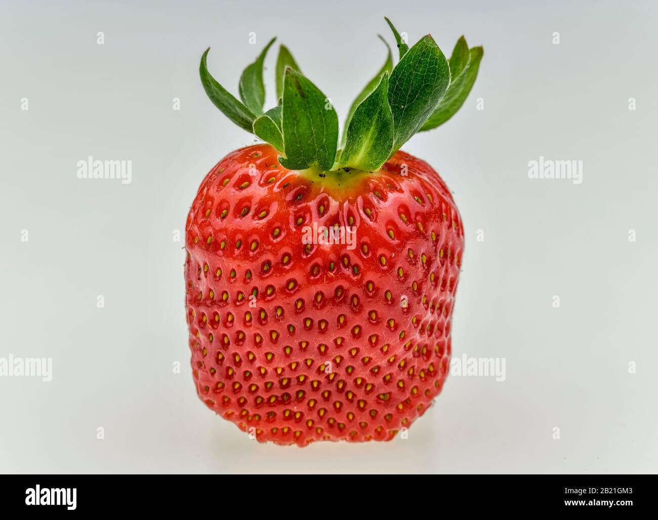 Erdbeere, Studioaufnahme Stock Photo