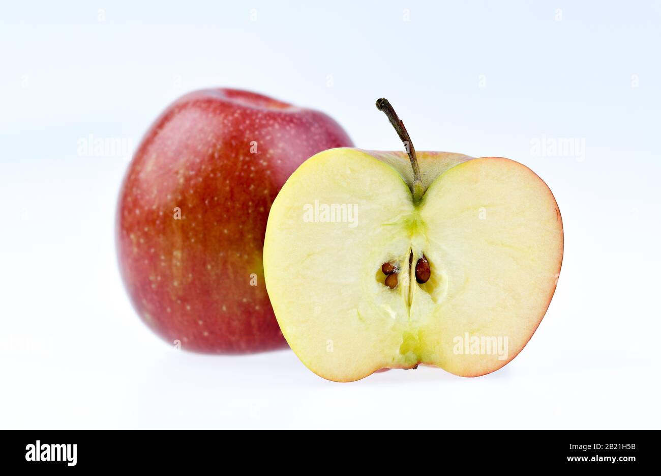 Roter Apfel, Studioaufnahme Stock Photo
