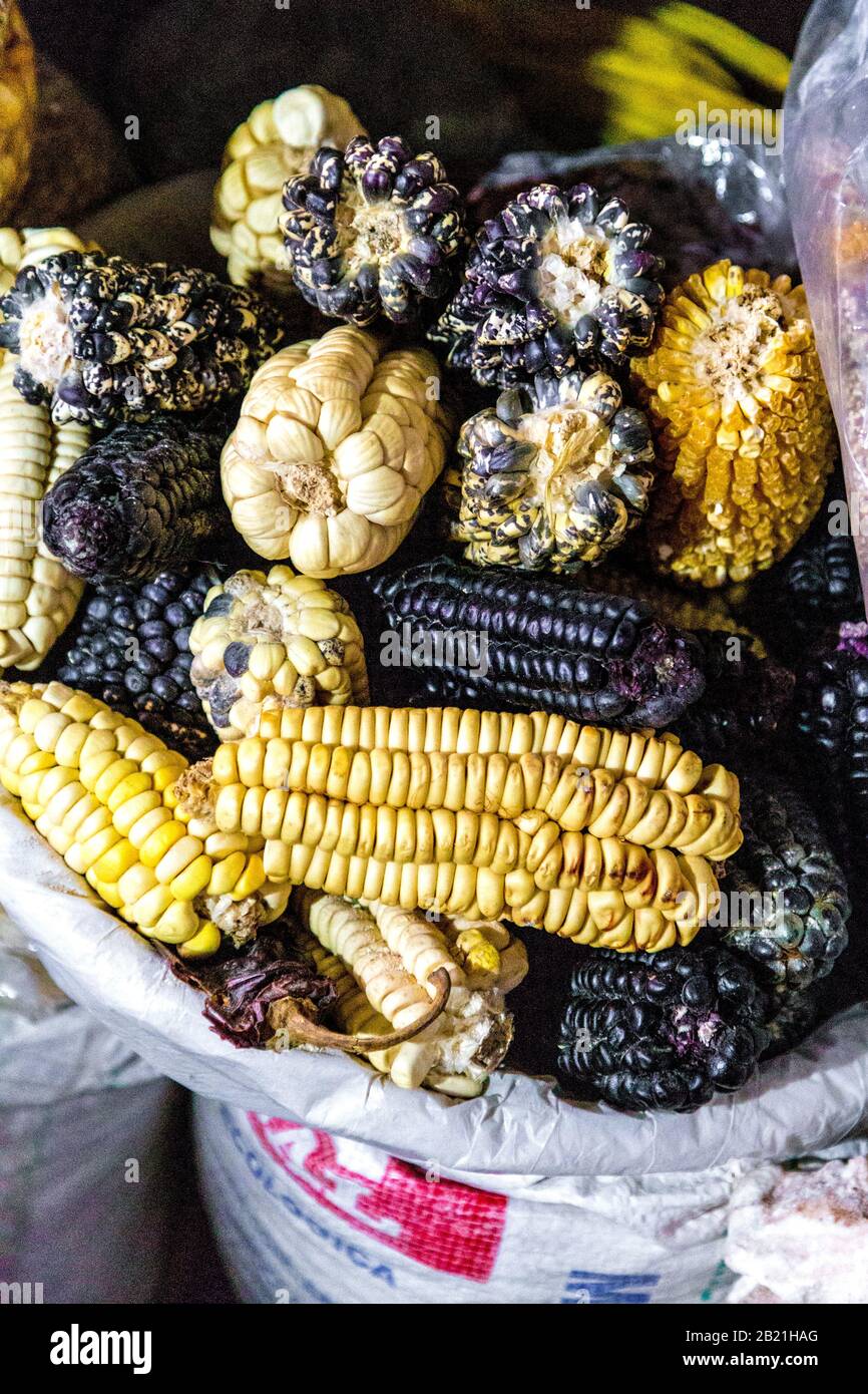 Corn on the cob at San Pedro Market, Cusco, Sacred Valley, Peru Stock Photo