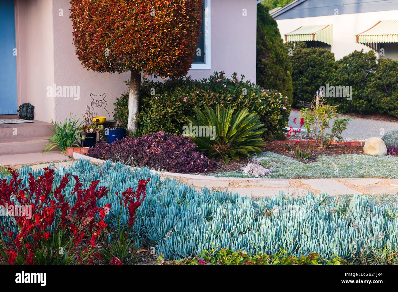 Beautiful California Home Landscaping Example With A Stone Path And Varied And Drought Tolerant Plants Taken From A Public Space In February Stock Photo Alamy