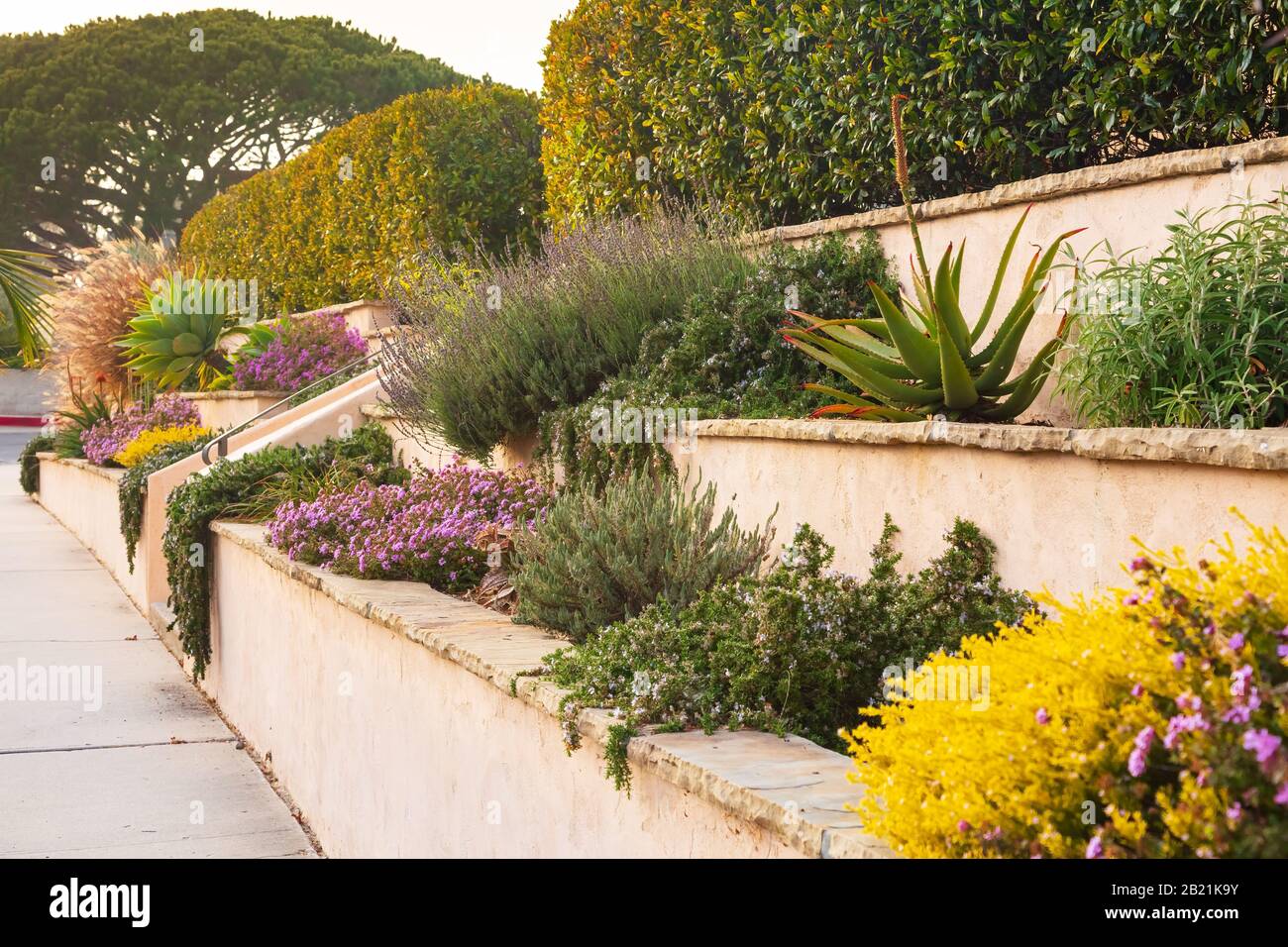 Ornate and varied California home landscaping example with garden wall and varied drought tolerant planting. Taken from a public space in February 202 Stock Photo
