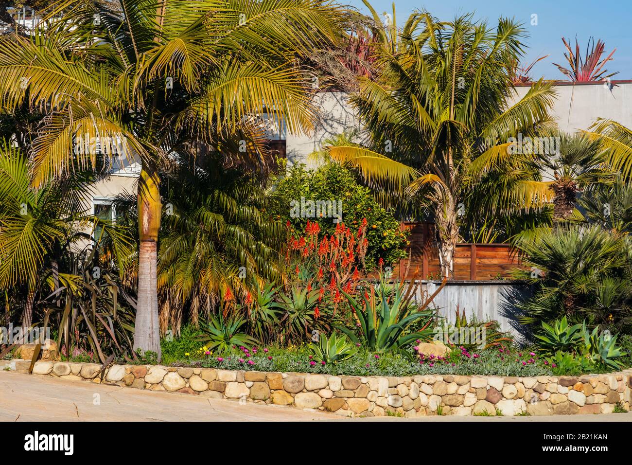 Ornate and varied California home landscaping example with garden wall and varied drought tolerant planting. Taken from a public space in February 202 Stock Photo