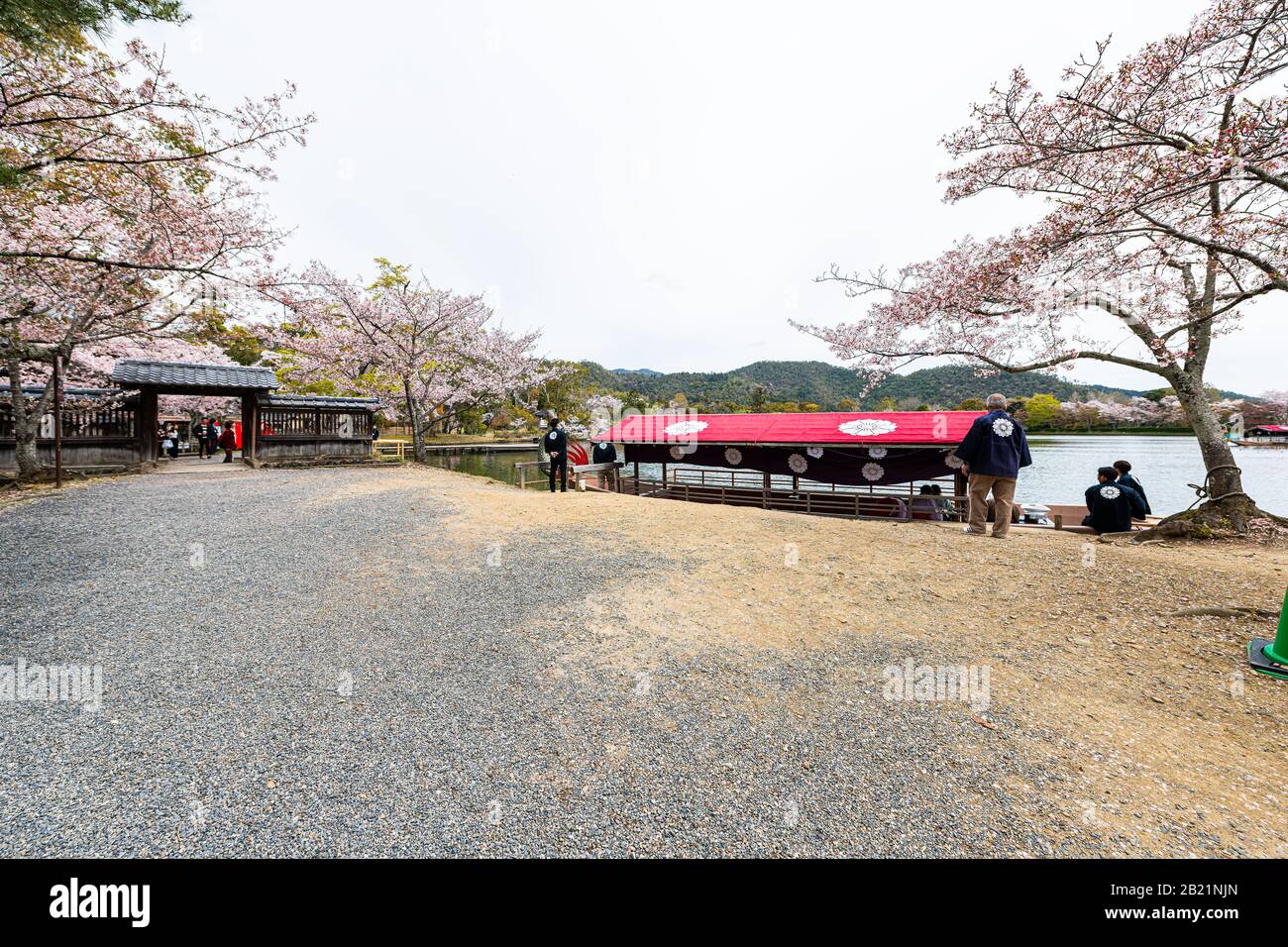 Kyoto, Japan - April 12, 2019: Cherry blossom trees by Osawa-no-Ike lake in spring in Arashiyama area by Daikakuji Temple with red dragon boat Stock Photo