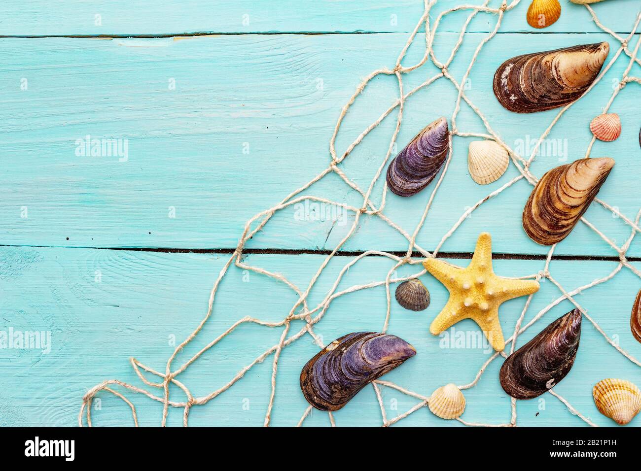 Seashells summer background. Lots of different seashells piled together, mussels, starfish, fishnet (seine) on turquoise wooden boards background, cop Stock Photo
