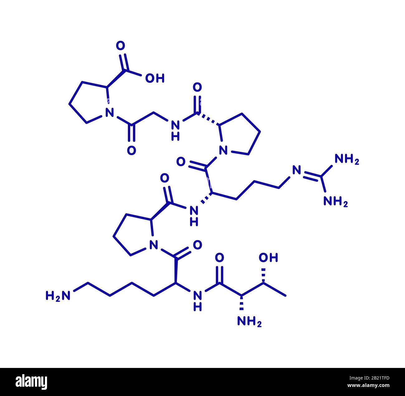 Selank Selank nootropic and anxiolytic drug molecule, illustration Stock Photo ...