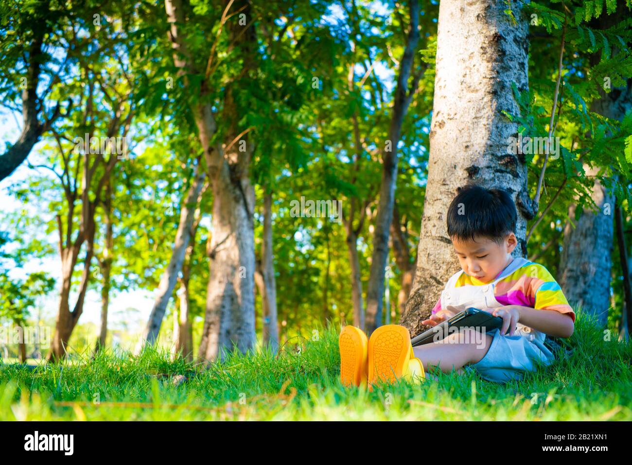 Adorable asian boy sweet casual sitting on green grass use tablet computer learnning nature tree in city park Stock Photo