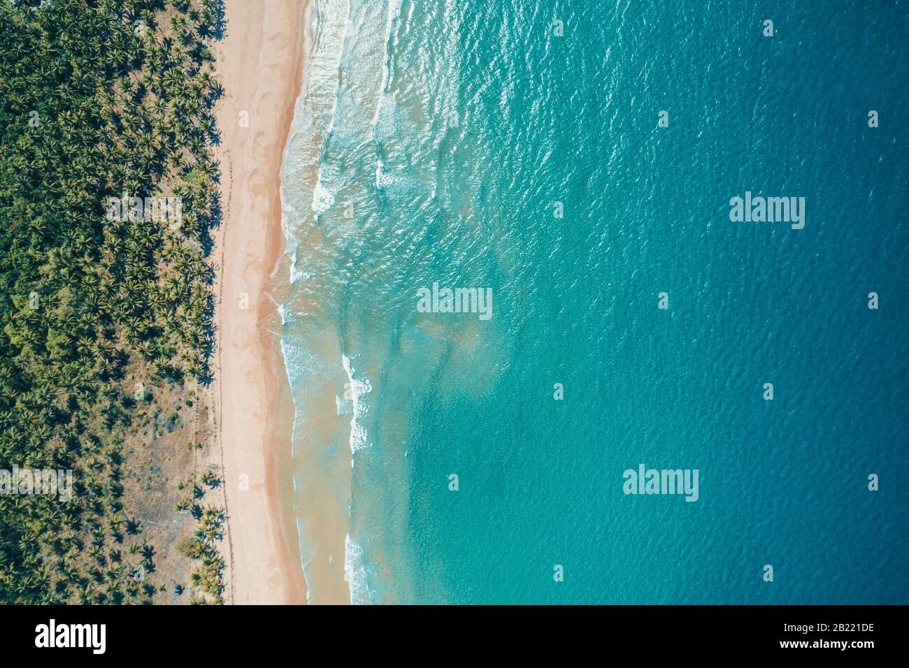 Aerial view to tropical sandy beach and blue ocean. Top view of ocean
