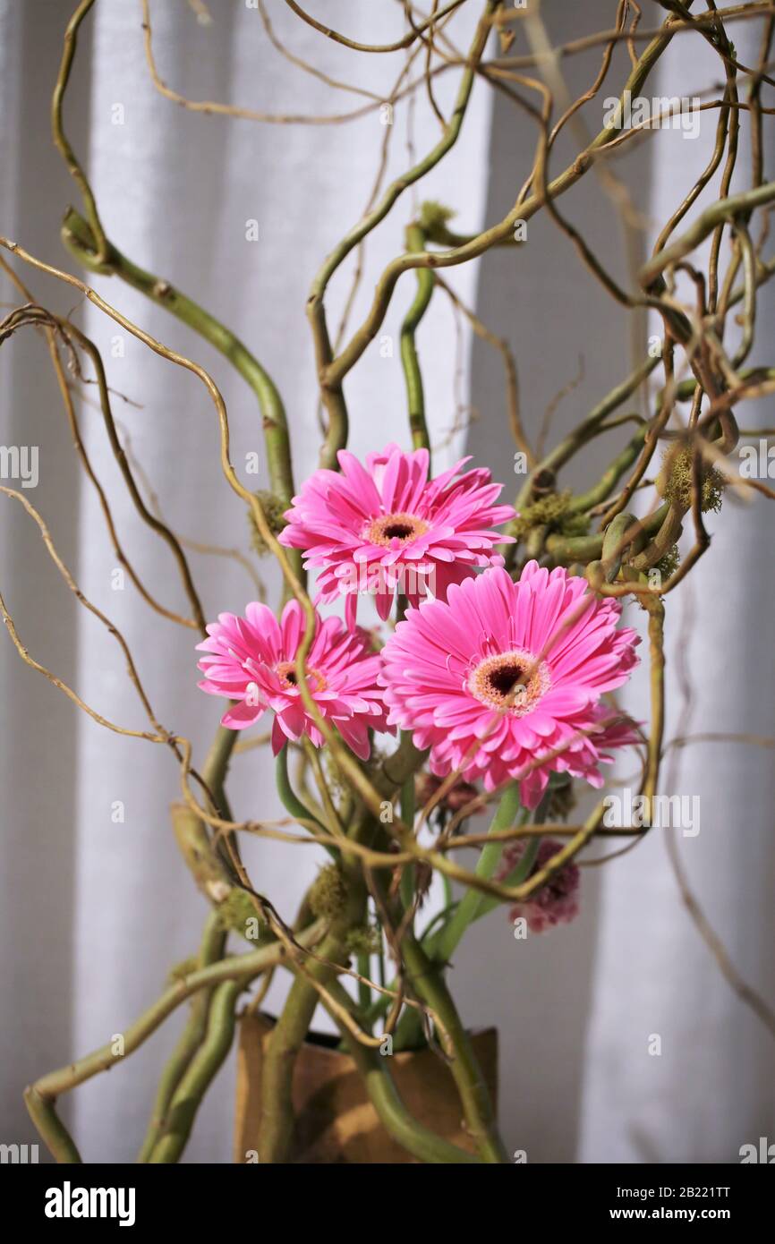 Ikebana on display at the Northwest Flower and Garden Festival in