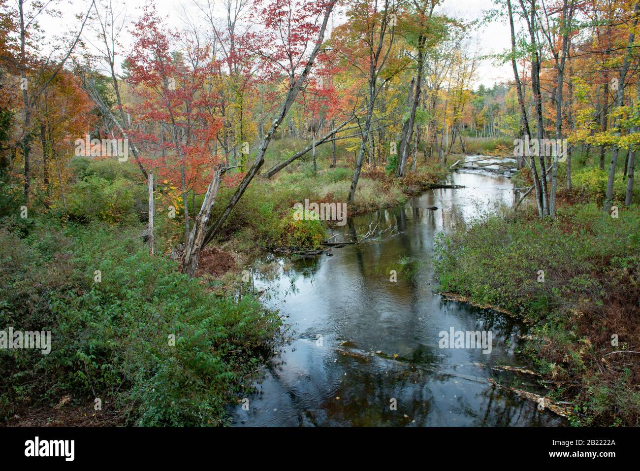 Stevens Brook in Pondicherry Park, Bridgton, Maine Stock Photo Alamy