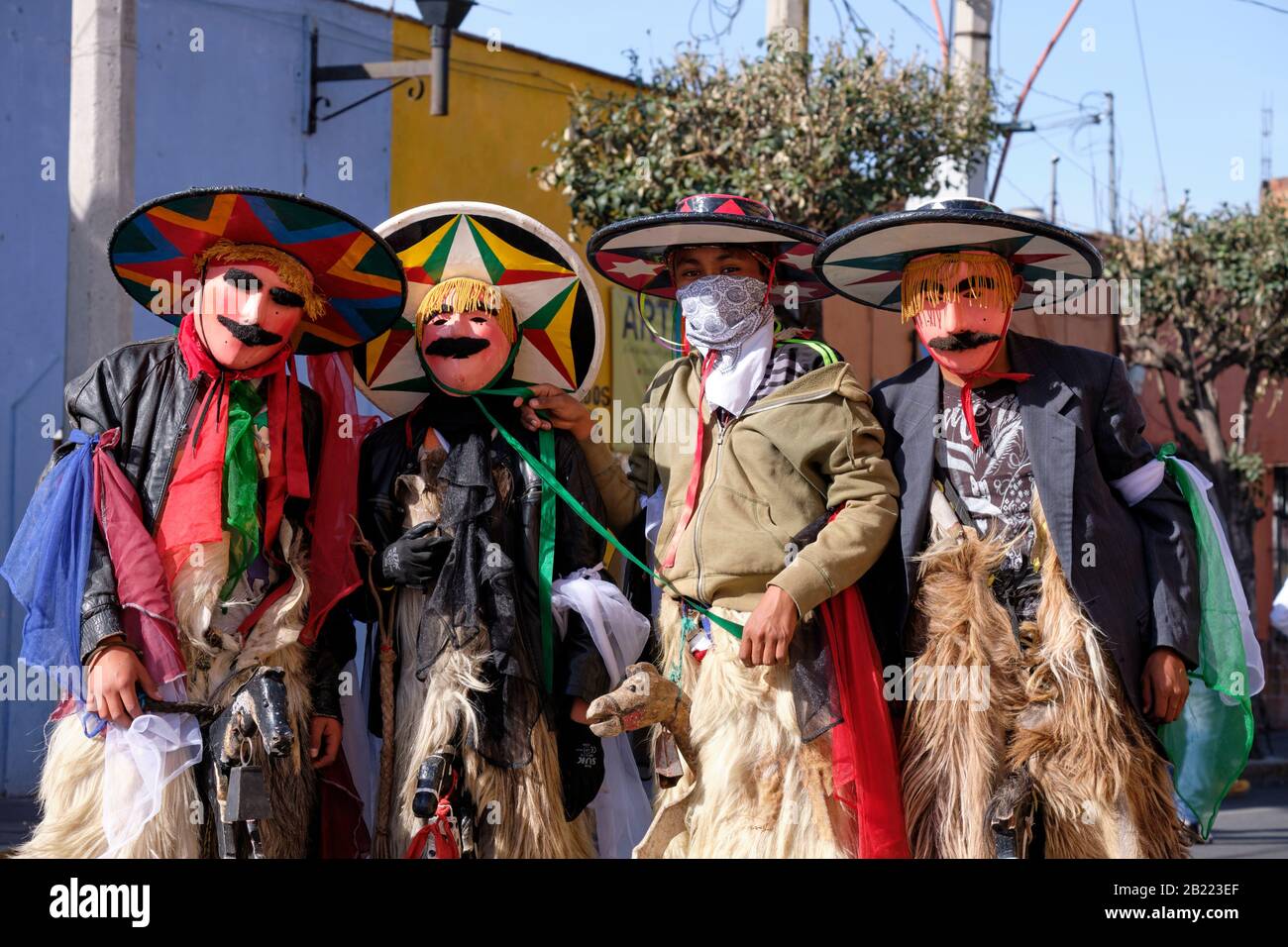 Dancer from of a Litter of Huehues of type Chivarrudos posing together