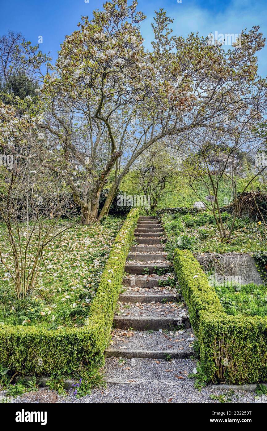 The Old Botanical Garden in central Zurich, Switzerland Stock The Old Botanical Garden in central Zurich, Switzerland Stock