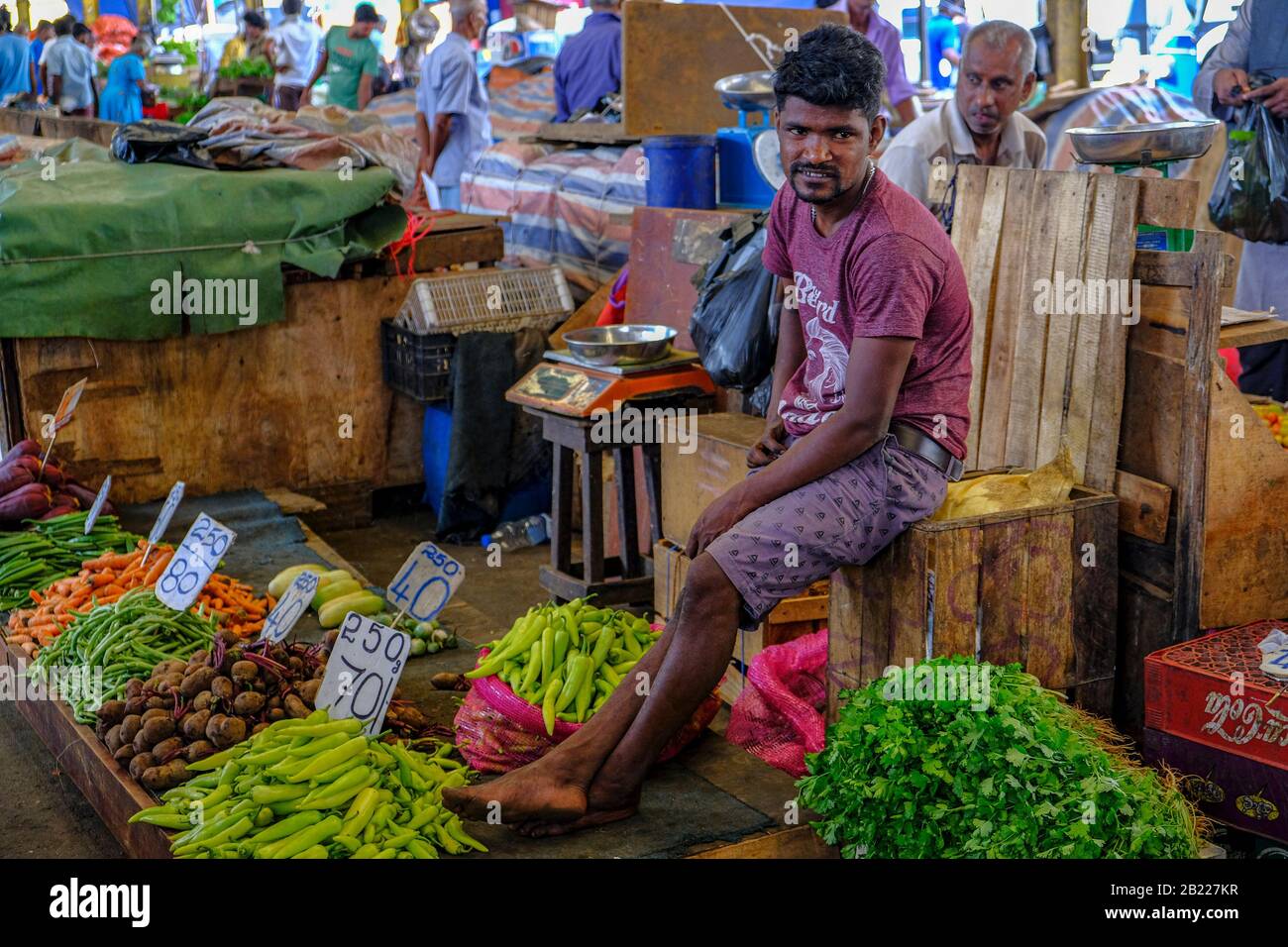 Colombo, Sri Lanka - February 2020: A man selling vegetables at the Colombo market on February 4, 2020 in Colombo, Sri Lanka. Stock Photo