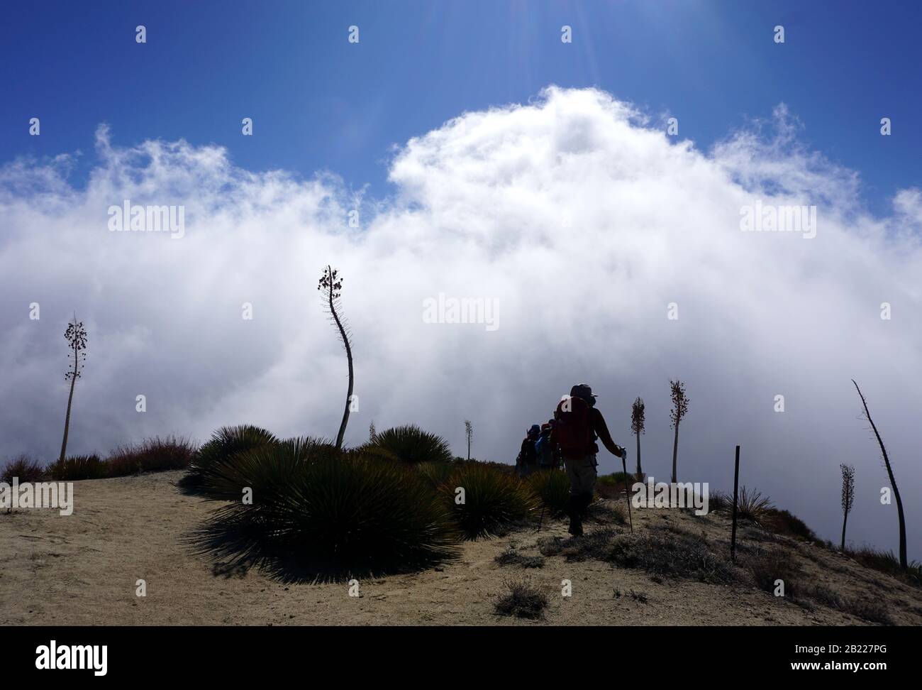 Hike from Condor Peak to Fox Mountain #2, Hundred Peaks Section of Sierra Club, CA Stock Photo