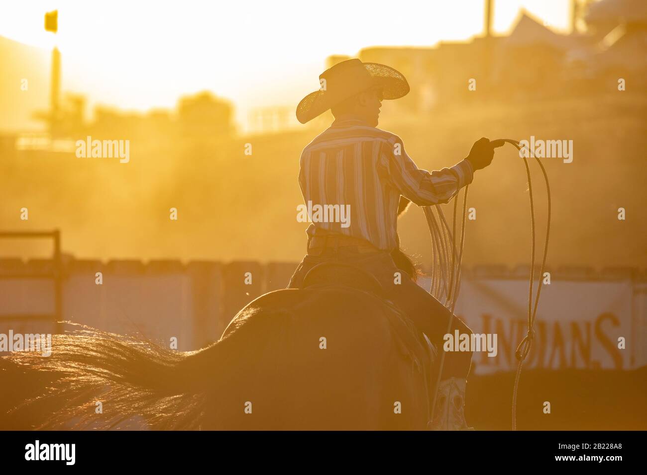 Cowboy Roping Stock Photo