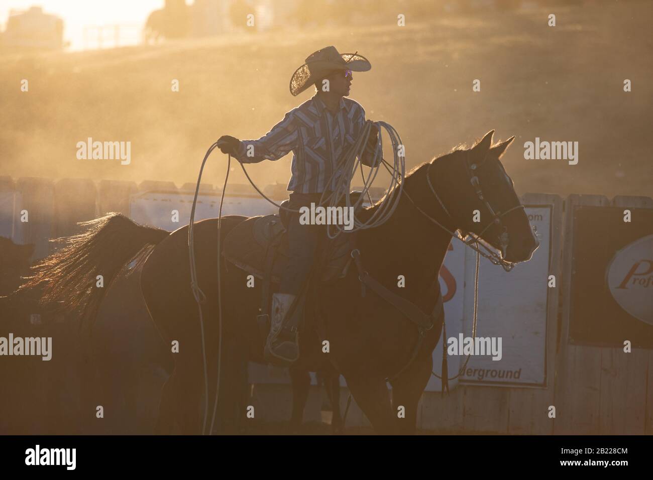 Cowboys Roping Stock Photo