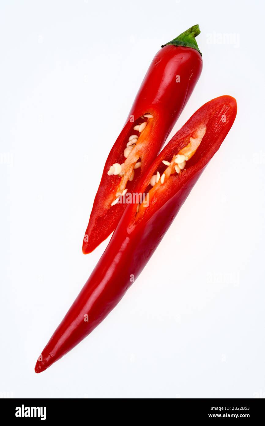Rote Chilischote, Studioaufnahme Stock Photo