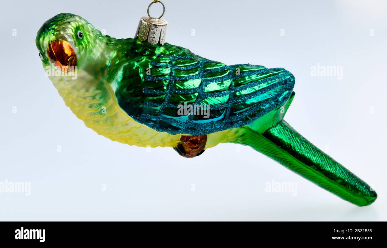 Papagei aus Glas, Studioaufnahme Stock Photo