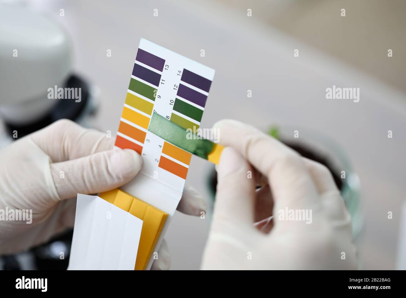 Litmus paper shows acidity, chemical analysis Stock Photo Alamy