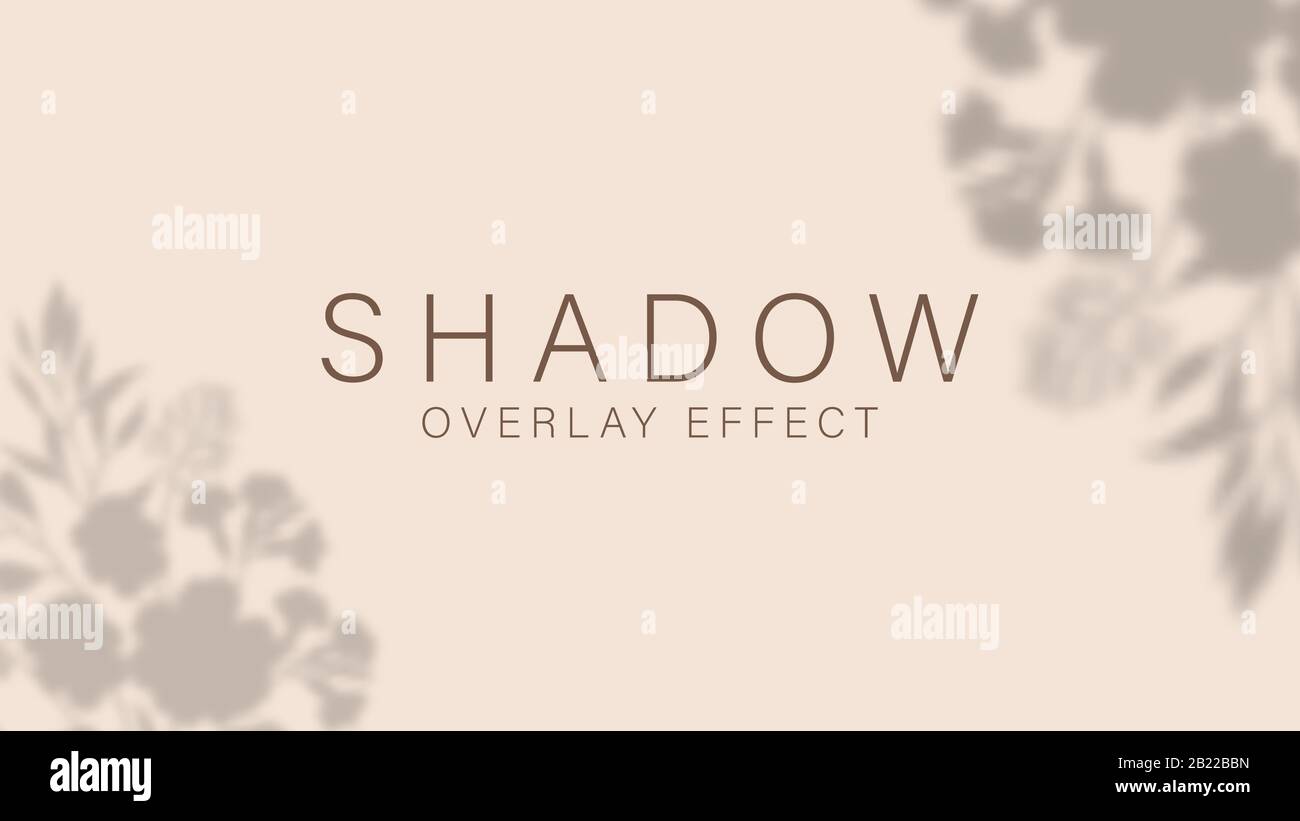 Shadow overlay effect. Transparent soft light and shadows from plant, branches, foliage and leaves. Stock Vector